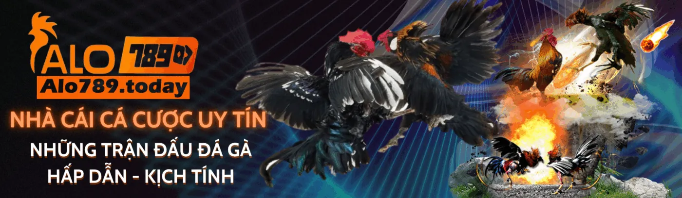 banner innovsource.in.net