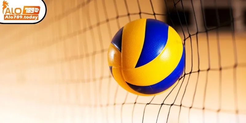 Cá cược bóng chuyền là gì?