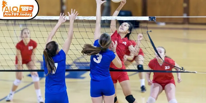 Kinh nghiệm cá cược bóng chuyền hiệu quả khi kiếm thưởng lớn